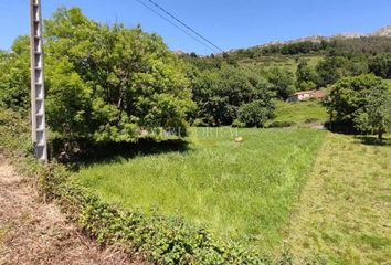 Terreno en  Castañera (parres), Asturias