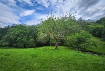 Terreno en  Celorio (llanes), Asturias