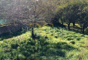 Terreno en  Busloñe, Asturias