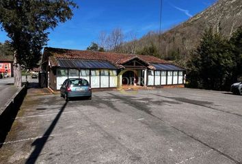 Local Comercial en  Cangas De Onis, Asturias