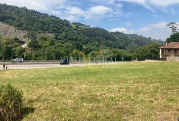 Terreno en  Unquera, Cantabria