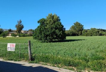 Terreno en  Buger, Balears (illes)