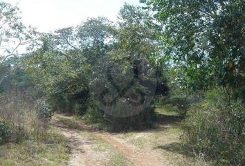 Lote de Terreno en  Sudzal, Yucatán