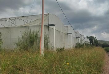 Lote de Terreno en  Unión De Tula, Jalisco