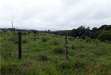 Villa-Quinta en  Pino Pardo, Popayán