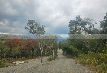 Lote de Terreno en  Carretera Montemorelos-rayones, Montemorelos, Nuevo León, Mex