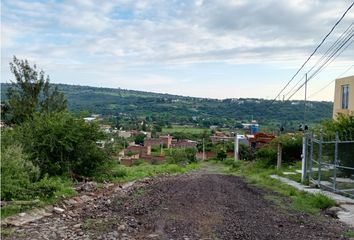 Lote de Terreno en  Camino Real, Sahuayo De Morelos