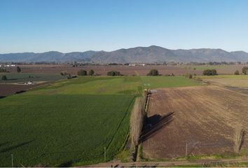 Parcela en  Santa Cruz, Colchagua