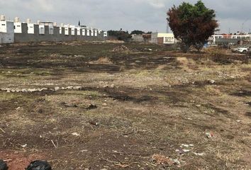 Lote de Terreno en  Ganadera, Irapuato, Irapuato, Guanajuato