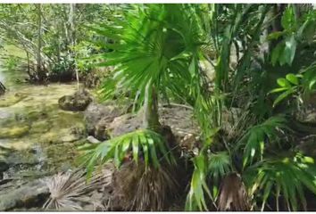 Lote de Terreno en  Calderitas, Othón P. Blanco