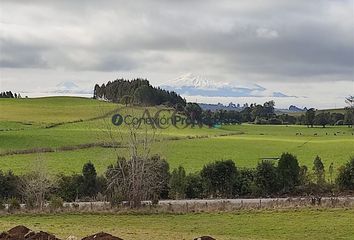 Parcela en  Llanquihue, Llanquihue