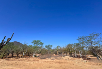 Lote de Terreno en  La Paz, Baja California Sur, Mex