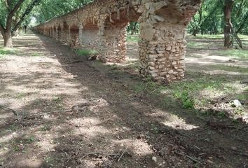 Rancho en  Carretera Octavio López-el Porvenir, Saláices, López, Chihuahua, 33943, Mex