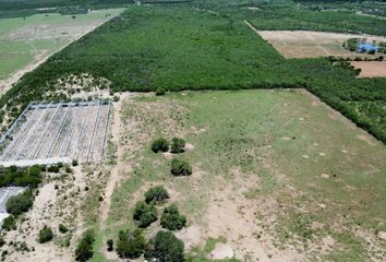 Rancho en  Hualahuises, Nuevo León