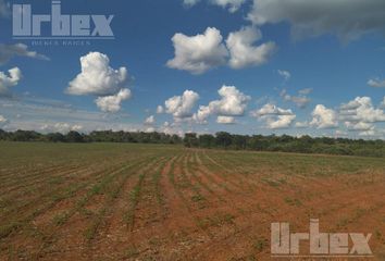 Lote de Terreno en  Hopelchén, Campeche