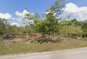 Lote de Terreno en  Puerto Morelos, Quintana Roo