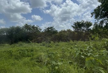 Lote de Terreno en  Calle 31 265-265, Chichí Suárez, Mérida, Yucatán, 97306, Mex