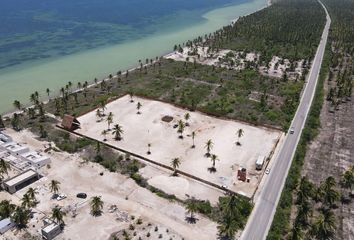 Lote de Terreno en  Carretera Telchac Puerto - Dzilam De Bravo, Sinanché, Yucatán, 97424, Mex