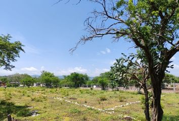 Lote de Terreno en  Camino Al Centra, Berriozábal, Chiapas, 29130, Mex