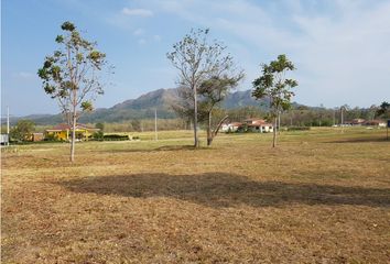 Lotes y Terrenos en  Bejuco, Chame