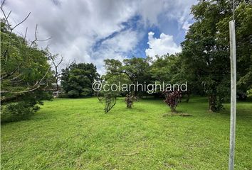 Lotes y Terrenos en  Alto De La Mesa, Antón