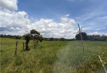 Finca/Hacienda en  El Coco, La Chorrera