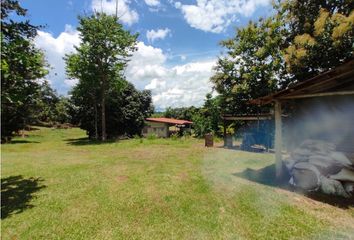 Finca/Hacienda en  El Coco, La Chorrera