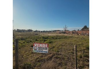 Terrenos en  General Cerri, Partido De Bahía Blanca