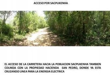 Lote de Terreno en  Becanchen, Tekax, Yucatán, Mex