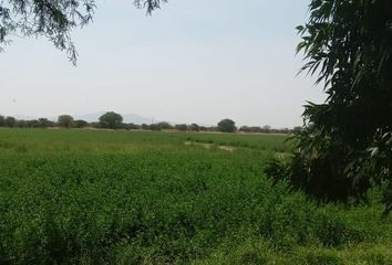 Lote de Terreno en  Poblado Comunal La Loma De Los Negritos, Ciudad De Aguascalientes