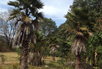 Lote de Terreno en  Carretera Toluca-valle De Bravo, San Gaspar, Valle De Bravo, México, 51208, Mex