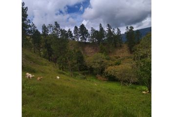 Villa-Quinta en  Guateque, Boyacá