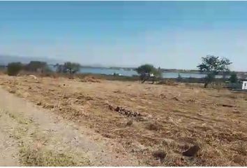 Lote de Terreno en  Calle Vicente Guerrero, La Vega, Teuchitlán, Jalisco, 46765, Mex