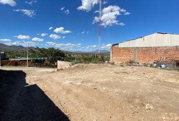 Lote de Terreno en  Calle Venustiano Carranza, Santa Cruz De Las Flores, San Martín Hidalgo, Jalisco, 46790, Mex