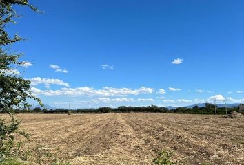 Lote de Terreno en  Calle Venustiano Carranza, Santa Cruz De Las Flores, San Martín Hidalgo, Jalisco, 46790, Mex