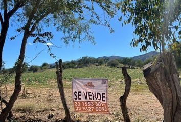 Lote de Terreno en  Calle Venustiano Carranza, Santa Cruz De Las Flores, San Martín Hidalgo, Jalisco, 46790, Mex