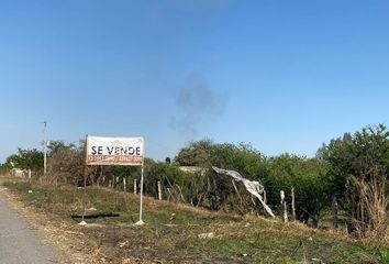 Lote de Terreno en  Prolongación Colón, San Francisco De Asis, Tala, Jalisco, 45308, Mex