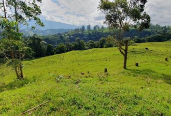 Lote de Terreno en  La India, Filandia