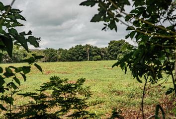 Lote de Terreno en  Tampico Alto, Veracruz