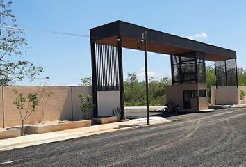 Lote de Terreno en  97353, Texán De Palomeque, Yucatán, Mex