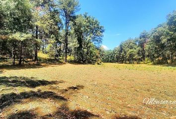 Lote de Terreno en  51268, Amanalco, México, Mex