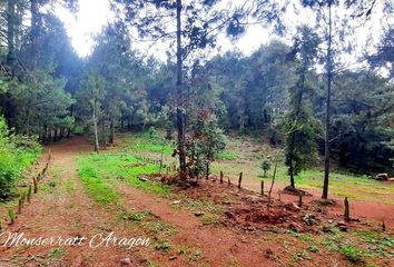 Lote de Terreno en  51270, Amanalco, México, Mex