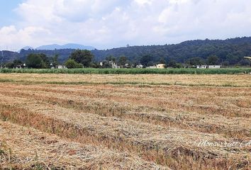 Lote de Terreno en  51268, Amanalco, México, Mex