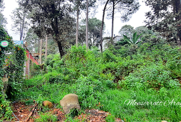 Lote de Terreno en  Circuito A Avándaro, Valle De Bravo, México, 51226, Mex