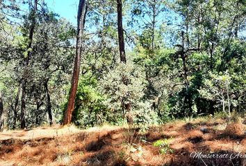 Lote de Terreno en  Valle De Bravo, México, Mex