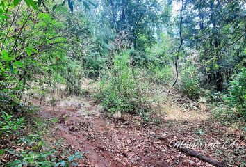 Lote de Terreno en  Pemex Larruave, San Gaspar, Valle De Bravo, México, Mex