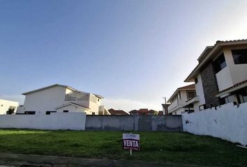 Lote de Terreno en  Calle Manzano, Los Médanos De Buena Vista, Alvarado, Veracruz De Ignacio De La Llave, 95264, Mex