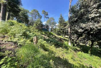 Lote de Terreno en  Calle Rosales 21, Avandaro, Valle De Bravo, Valle De Bravo, México, 51200, Mex