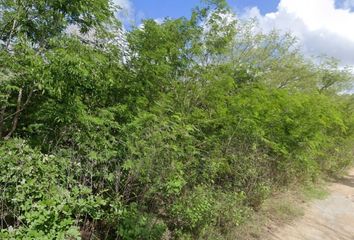 Lote de Terreno en  Seyé, Yucatán