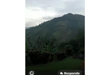 Villa-Quinta en  El Campín, Manizales